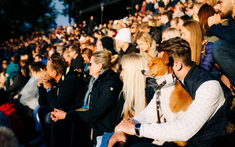 Pārpildīts brīvdabas pasākums, kurā cilvēki cieši sēž kopā tribīnēs. Vīrietis baltā kreklā tur rokās mierīgu brūni baltu suni. Gaišs, dzīvespriecīgs noskaņojums.