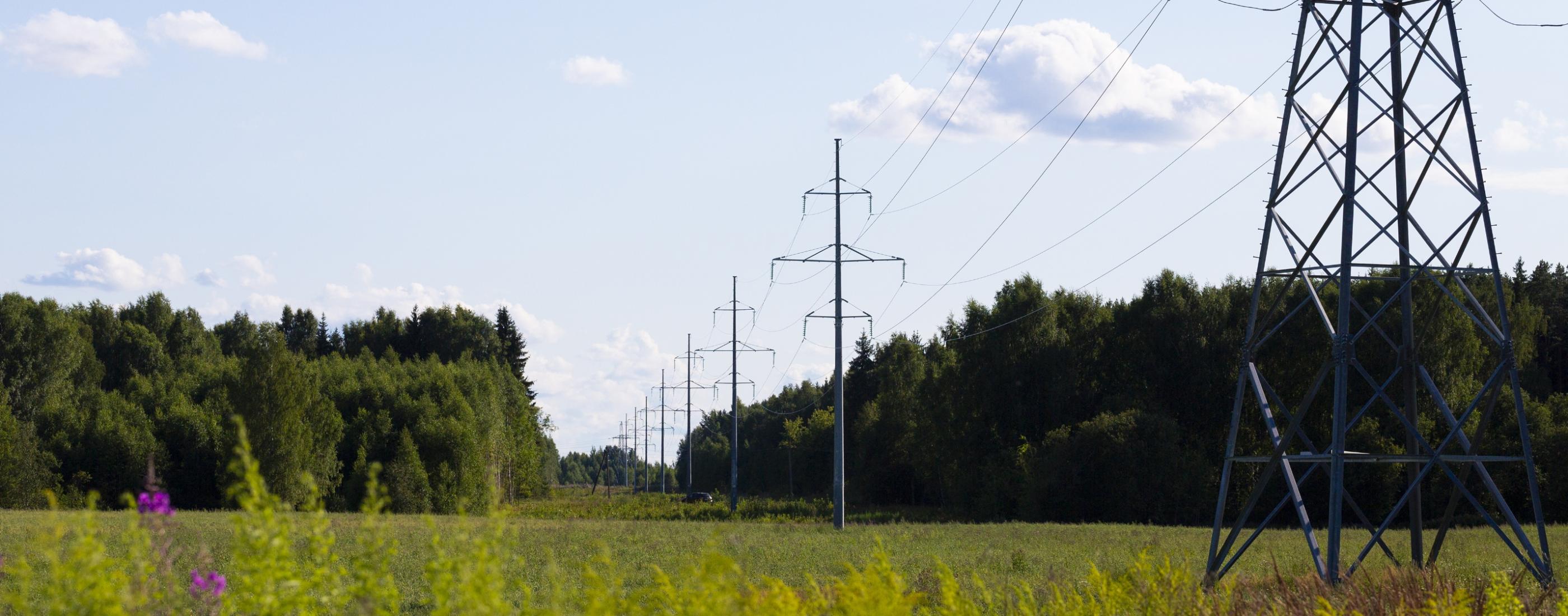 Elektrolīnijas stiepjas pāri sulīgi zaļai ainavai zem skaidrām, zilām debesīm. Priekšplānā atrodas augsts metāla pilons.