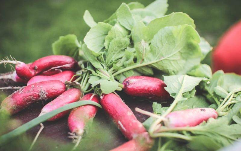 Tiešā pirkšana un sarunas ar zemniekiem