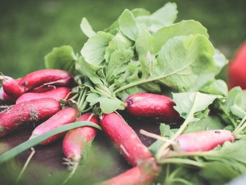 Tiešā pirkšana un sarunas ar zemniekiem